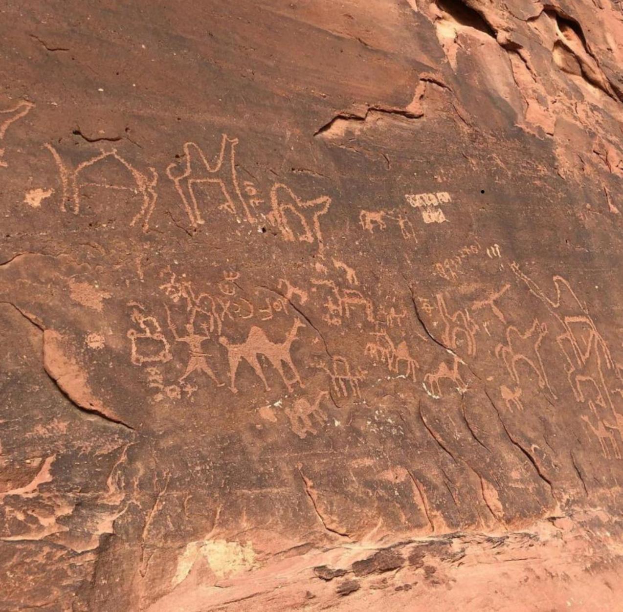 Hotel Bedouin Bunch Camp Wadi Rum Exterior foto