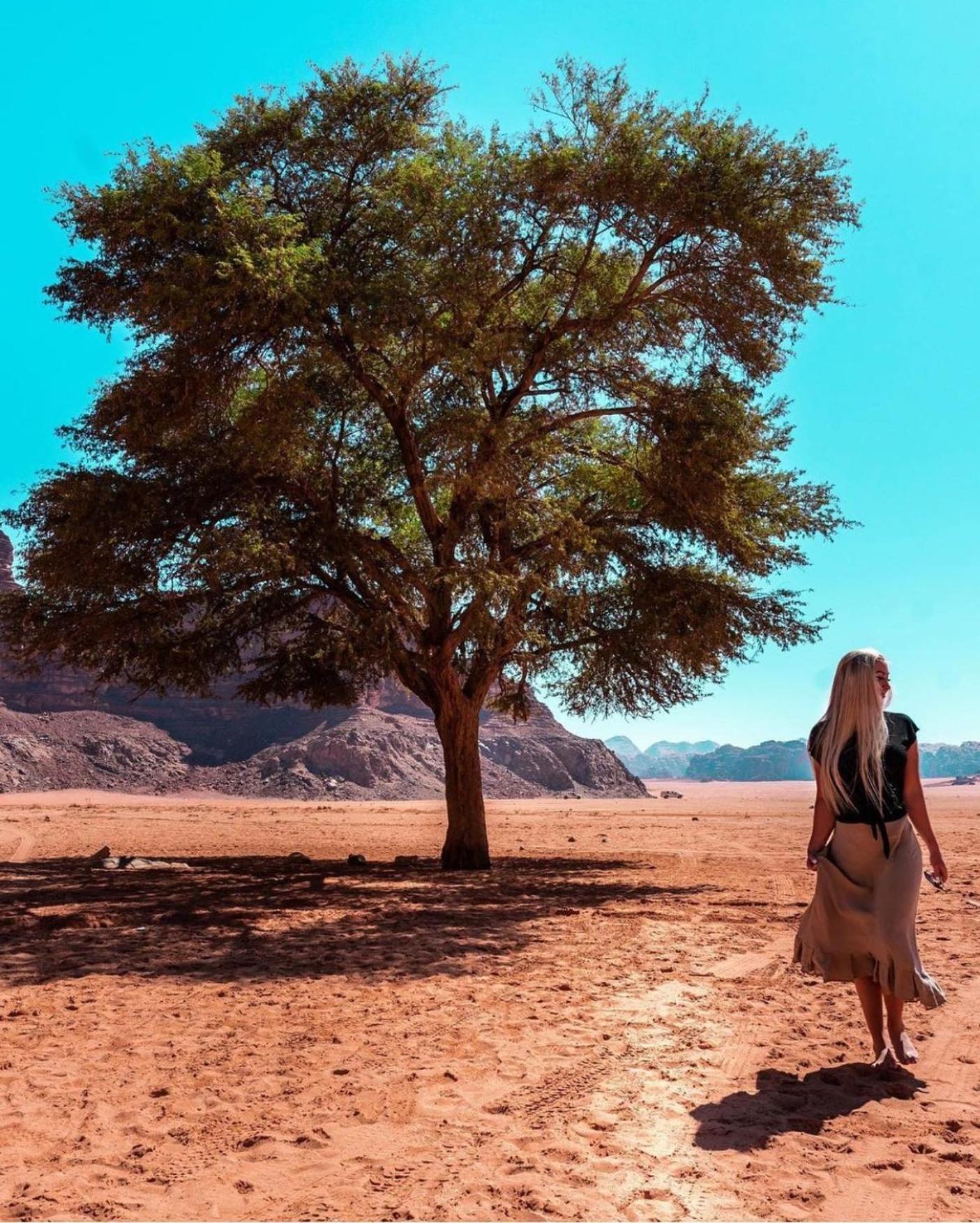 Hotel Bedouin Bunch Camp Wadi Rum Exterior foto